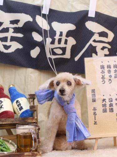 20240609桃果ちゃん